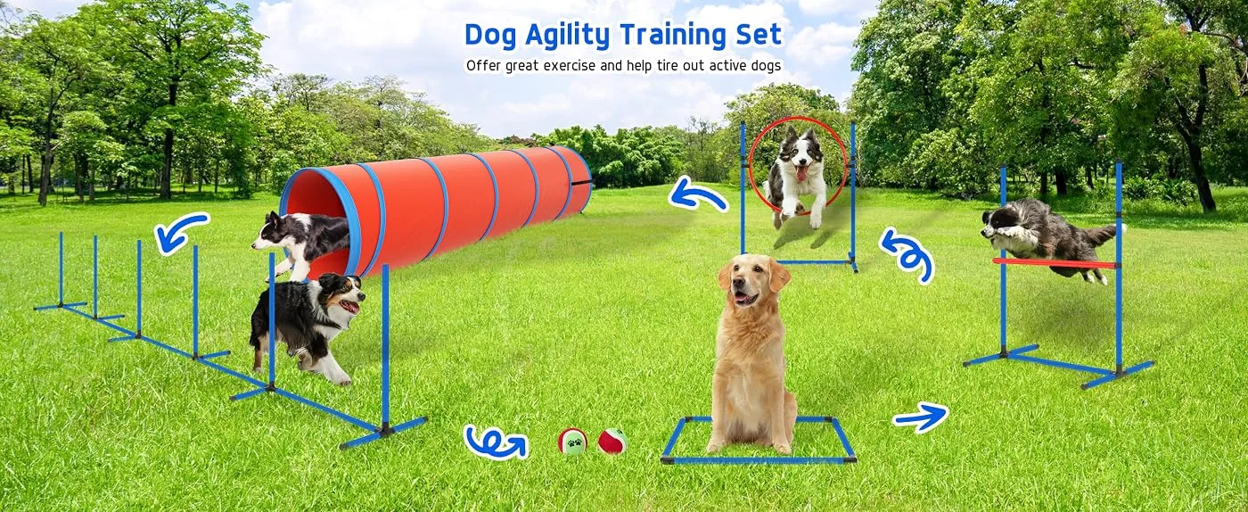 polar aurora pet supplies content 1